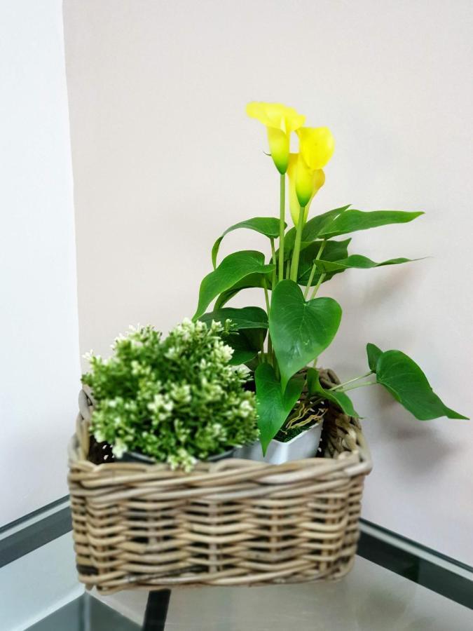 Holiday home Casa Dell'edera *